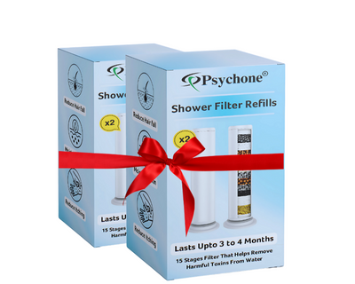2x Filter Cartridge Set