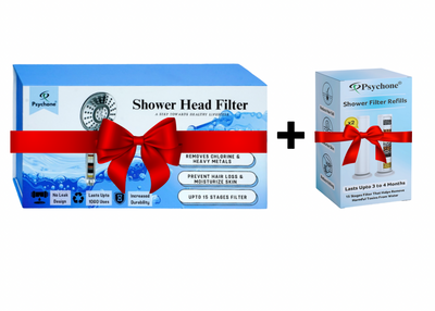1X Showerhead  + 1 Filter Set